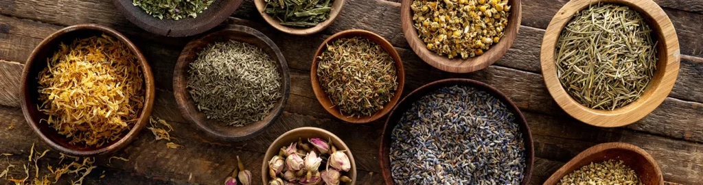 Herbs herbs