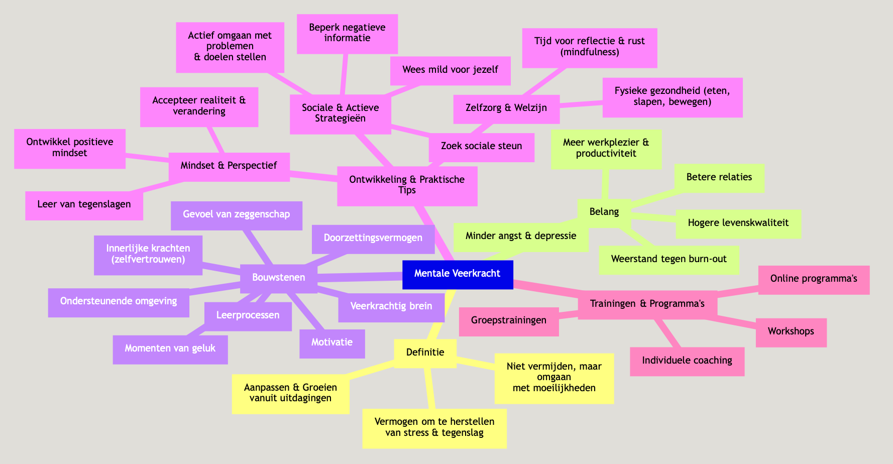mindmap-mentale-weerbaarheid